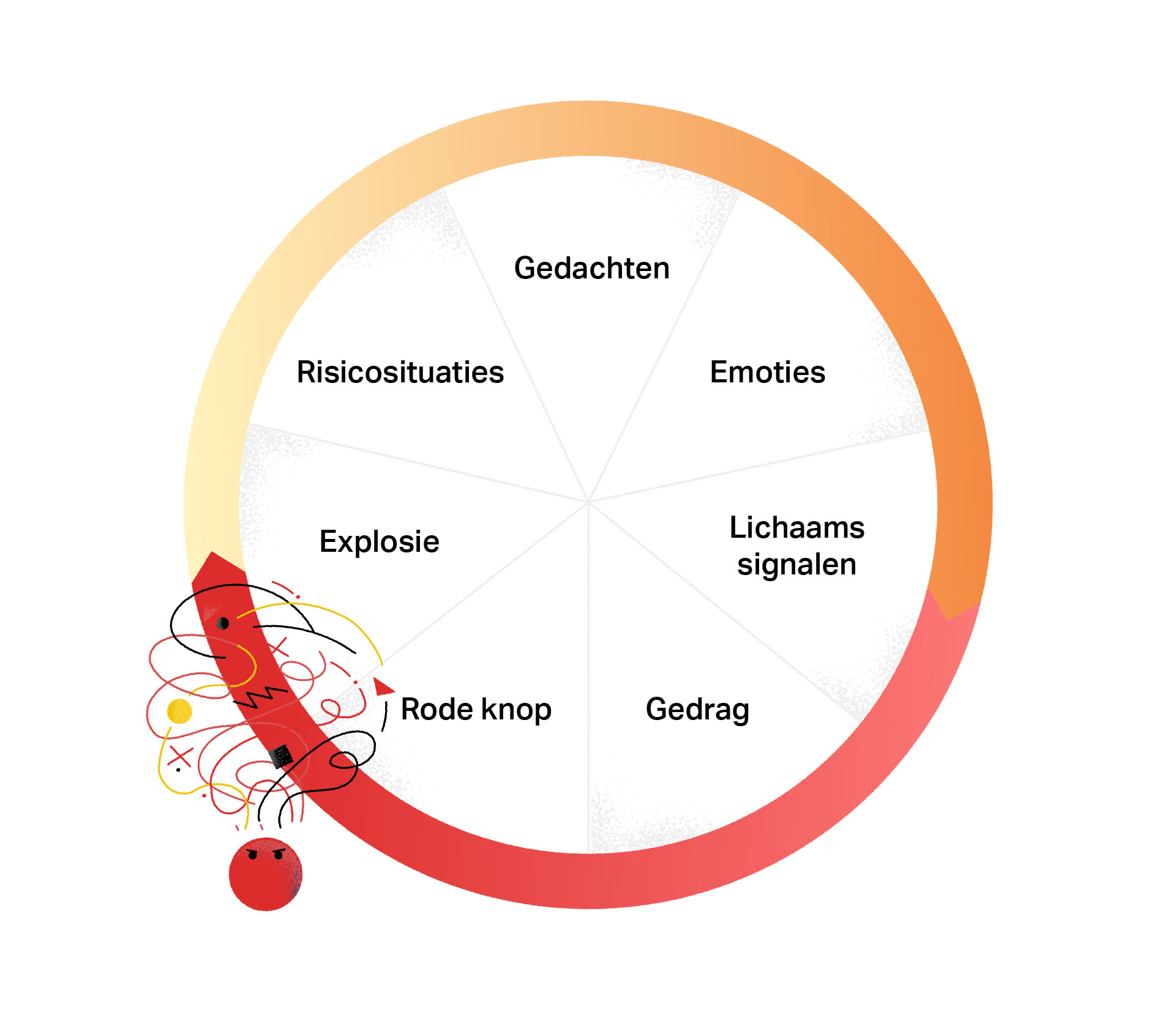 Een cirkel die verdeeld is in de volgende opeenvolgende onderdelen: risicosituaties, gedachten, emoties, lichaamssignalen, gedrag, rode knop, explosie