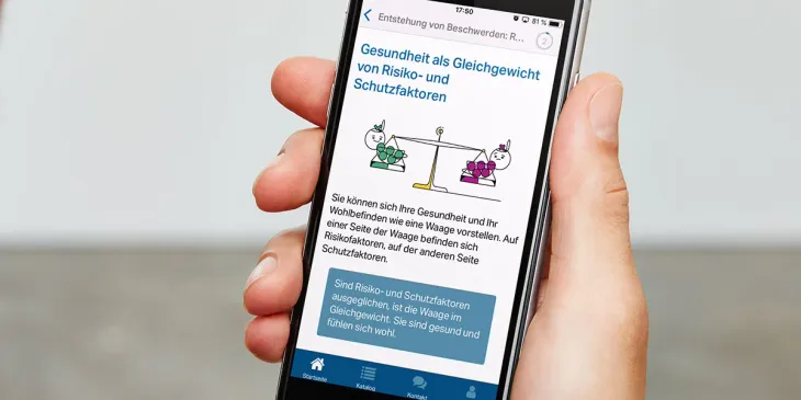 Bildschirmfoto von E-mental-health Modul 'Meine Risiko- und Schutzfaktoren'